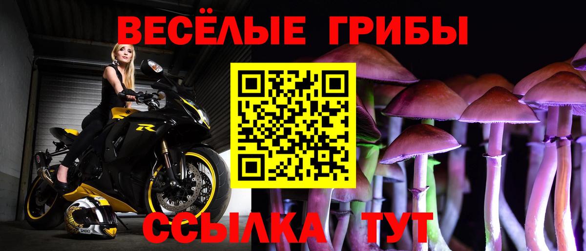 Псилоцибиновые грибы Cubensis  Псилоцибиновые грибы Psilocybine cubensis  Вход с VPN  где найти наркотики  Балаково 